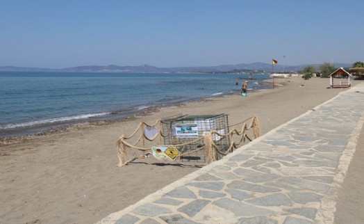 Menderes'te Caretta caretta heyecanı