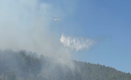 Muğla'da orman yangını çıktı: 1,5 saatte kontrol altına alındı