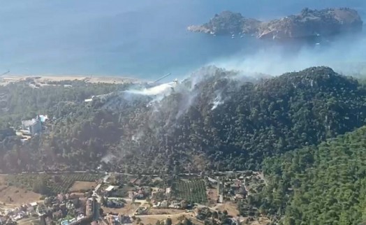 Muğla'da orman yangını 2 saatte kontrol altına alındı