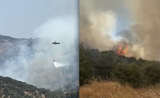 Muğla'da tarım arazisinde yangın