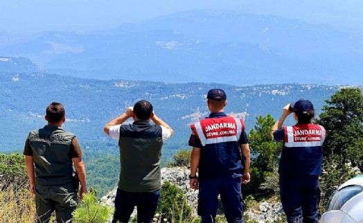 Muğla'da jandarma ve orman ekipleri yangınlara karşı nöbette