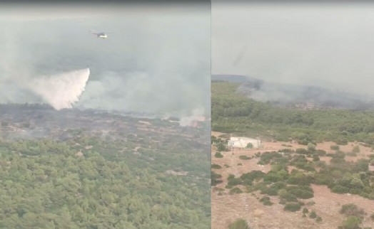 Muğla'daki orman yangını 2 saatte kontrol altına alındı