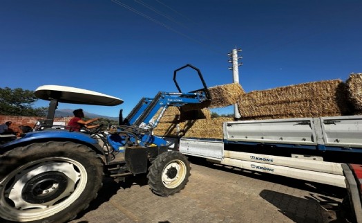 Ödemiş yangınının yaraları sarılmaya başlandı: Büyükşehir'den yem desteği