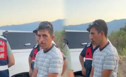 Nazilli'de ormanı yakan şüpheli tutuklandı