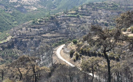 Ormanların yandığı alanlarda heyelan riski