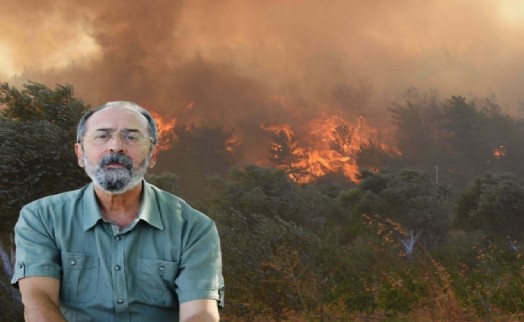 Prof. Dr. Türkeş'ten orman yangınları açıklaması: 'Önümüzde zor 2 ay var'