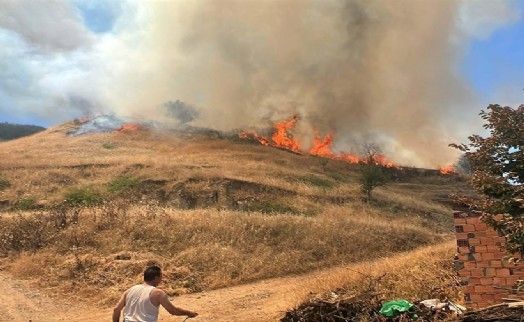 Tarım arazisinde çıkan yangın ormana sıçradı