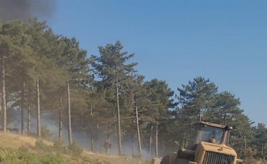 Tavşanlı'daki orman yangını kısa sürede söndürüldü