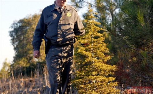 Türkiye yanarken OGM'nin hem bütçesi hem personel sayısı düştü!