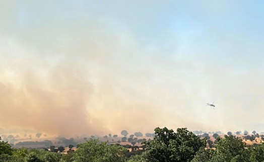 Uşak'ta meşelik yangını 16 saat sonra kontrol altında
