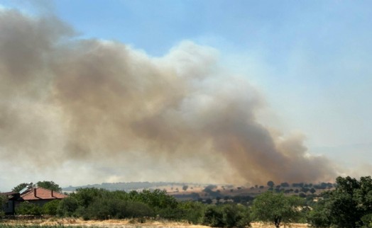 Uşak'ta meşelik yangını