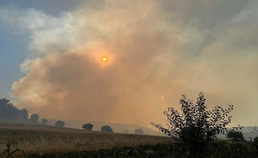 Uşak'taki yangın 11 saatte kontrol altında!