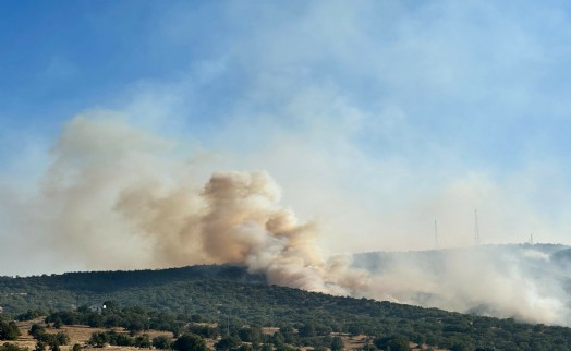 Uşak'ta meşelik yangını: 7 saat sonra kontrol altına alındı!