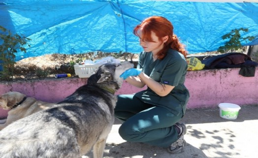 Üsküdar İle Menderes can dostlar için el ele