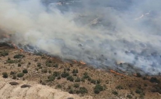 Aydın'da tarım arazisi ile maki yangını kontrol altına alındı