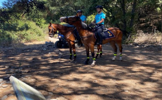 Yasağa rağmen ormana giren 5 kişiye 14 bin 765 lira ceza