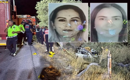 2 kişinin hayatını kaybettiği kazada sürücü, yoldaki ölü köpeğe çarpmamak için manevra yapmış