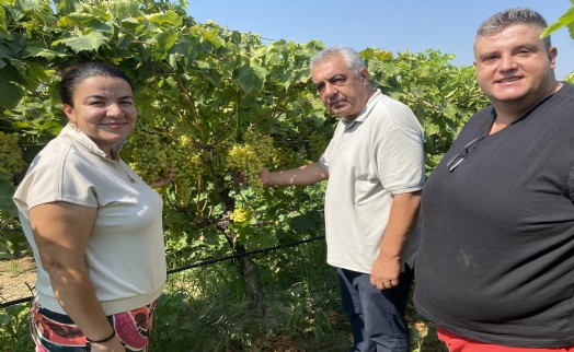 40 yaşından sonra üniversiteyi bitirip, kalıntısız üzüm ürettiler