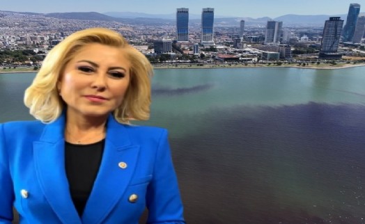 AK Partili Bursalı'dan Büyükşehir'e balık ölümleri tepkisi: Körfez can çekişiyor