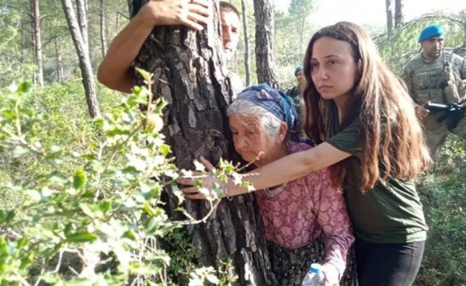 Akbelen'in 'ÇED kapsam dışı' kararına Danıştay'dan ret!
