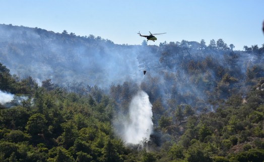 Alevler bu kez Seferihisar'dan yükseldi!