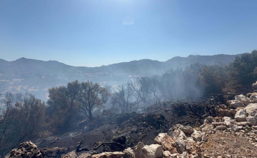 Bodrum'da korkutan yangın kontrol altına alındı