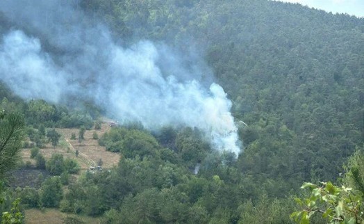 Bolu'da yangın paniği: Müdahale sürüyor!
