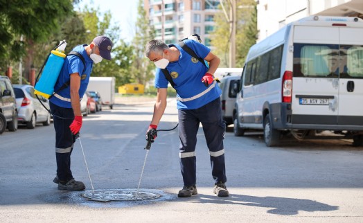 Buca'da ilaçlama atağı