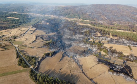 Çanakkale yangını 2 gün sonra kontrol altında! Alevlerin yarattığı yıkım yürek yaktı