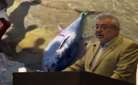 EBSO Meclisinde yetkililere İzmir Körfezi çağrısı: 'Orkinos ölümlerinin nedeni bir bakteri'