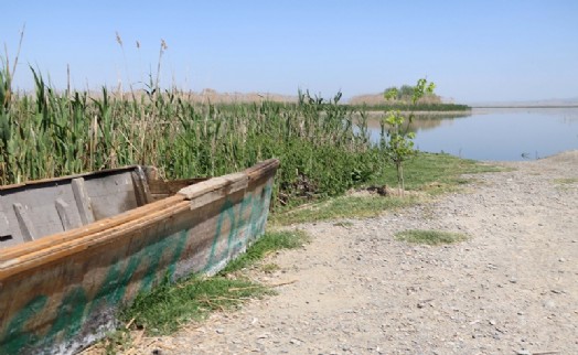 Eber Gölü ile ilgili korkutan açıklama; 2-3 yıl içinde tamamen kuruyabilir