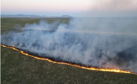 Eber Gölü'nde yangın büyümeden söndürüldü