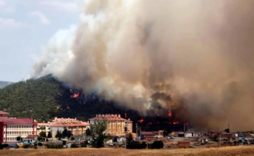 Edirne'de alev alarmı :Makilikte çıkan yangın, tarlaya sıçradı!