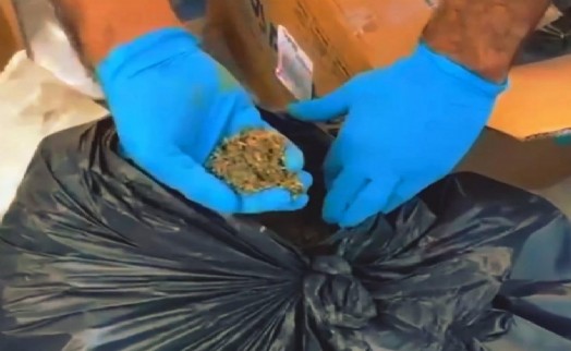 İzmir'de dev uyuşturucu operasyonu: 127 kilo bonzai ele geçirildi