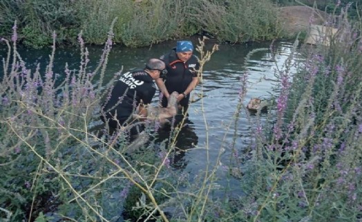 Hamamsuyu'ndan çıkamadı: 1 ölü