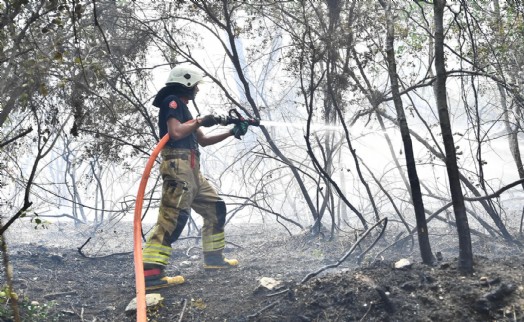 İzmir İtfaiyesi Menderes'te alevlerle mücadele ediyor