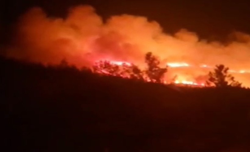 İzmir'de orman yangını