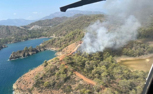 Kabus bitmiyor! Fethiye'de orman yangını