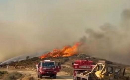 Karaburun'da korkutan yangın!