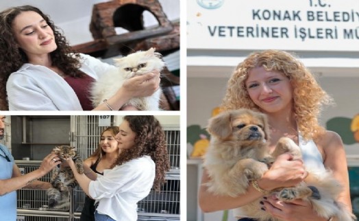 Konak'ın patili dostları sahiplenilmeye hazır : Ömürlük yuvalarını bekliyorlar