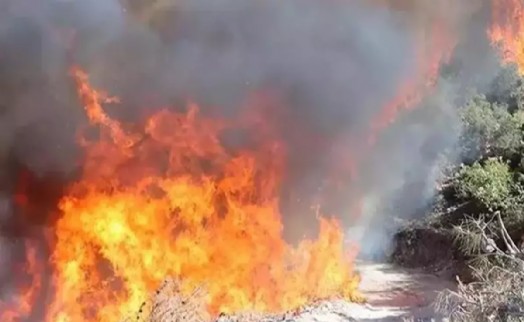 Manisa'daki orman yangınına ilişkin 1 tutuklama