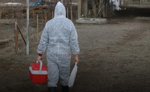 Marmara, Ege ve Akdeniz'de ölümcül tehdit! Bakanlık açıklama yaptı