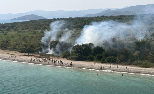 Muğla'da orman yangını 1,5 saatlik müdahalenin ardından söndürüldü!