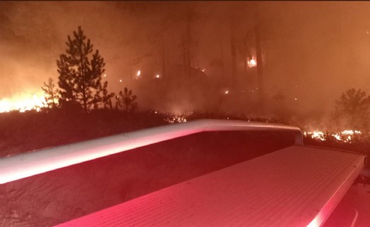 Muğla'da orman yangını