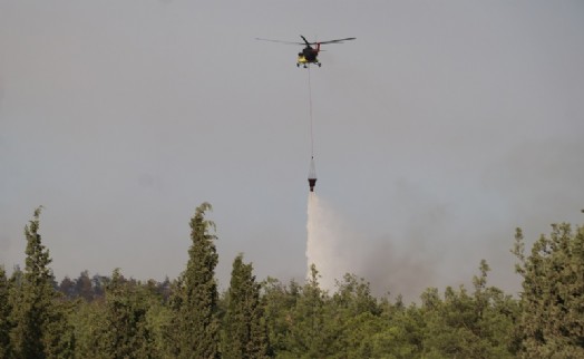 Pamukkale'de çıkan orman yangını söndürüldü; 3 gözaltı