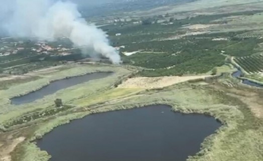 Sazlık alanda çıkan yangında 1 hektarlık alan kül oldu