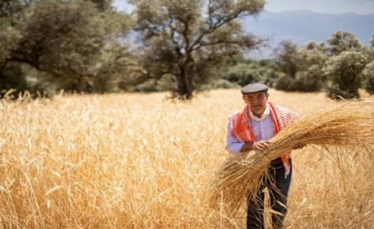 Soyer, cezaevinden yazmaya devam ediyor: Kooperatifçiliğin doğuşunu anlattı