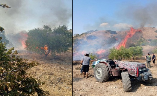 Tarım arazisindeki yangın makiliğe sıçradı; kontrol altında