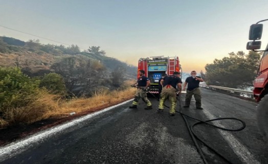 Urla yangını kontrol altına alındı