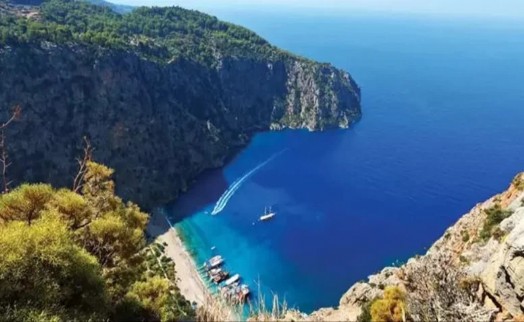 Zeytinlikler yetmedi, sıra sit alanlarına geldi